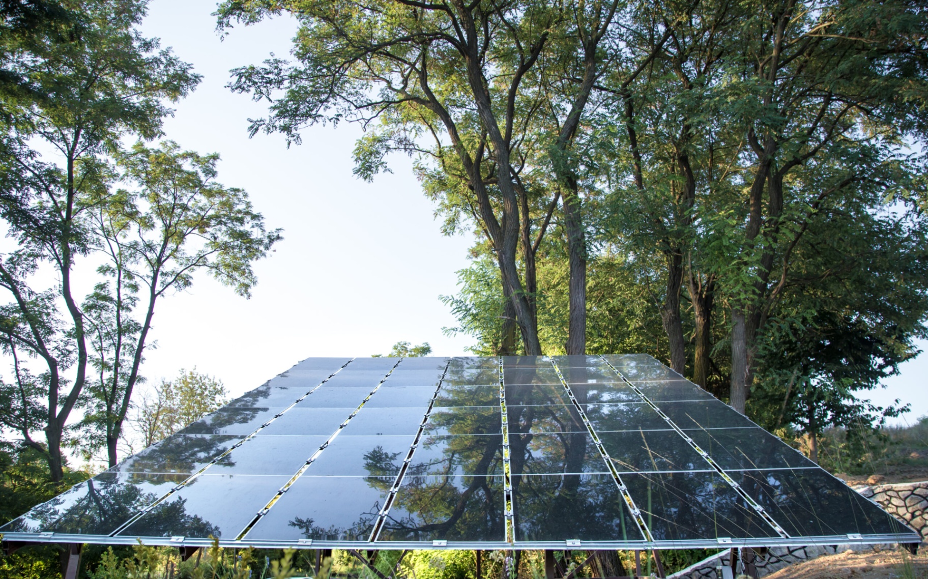 Solar panels with trees