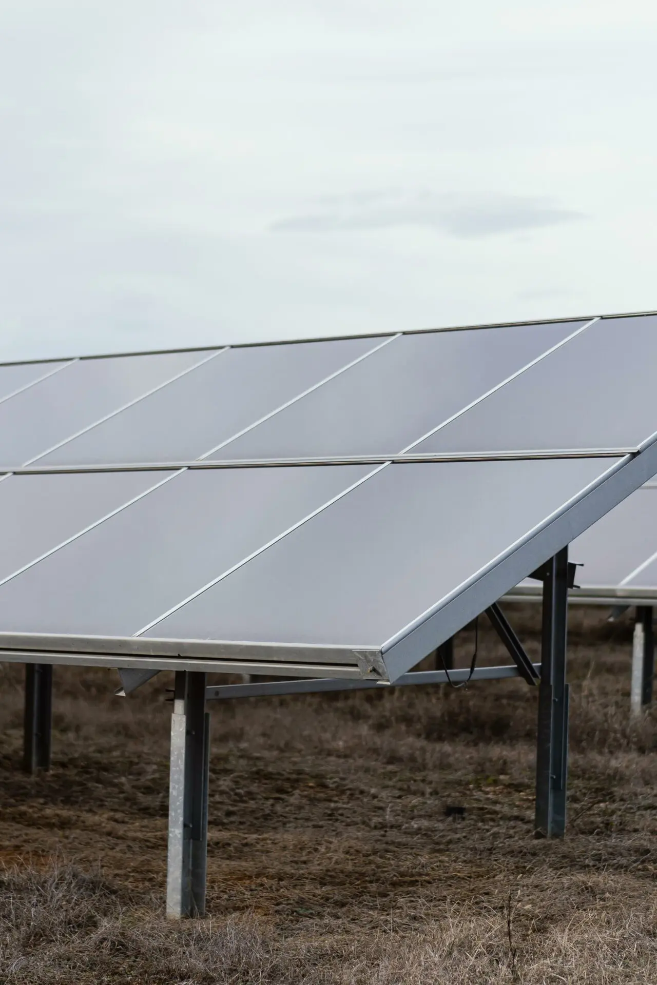 Ground-mounted solar array
